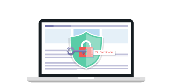 Multi-layered security certificate