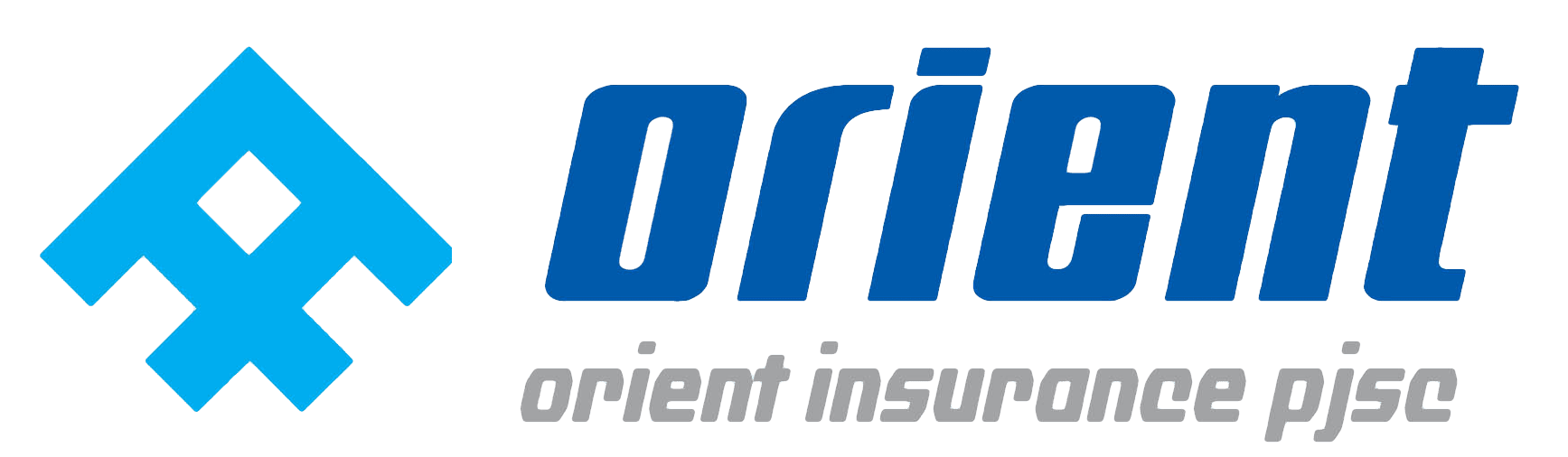 ORIENT INSURANCE