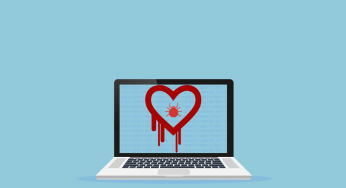 Larger implications of Heartbleed
