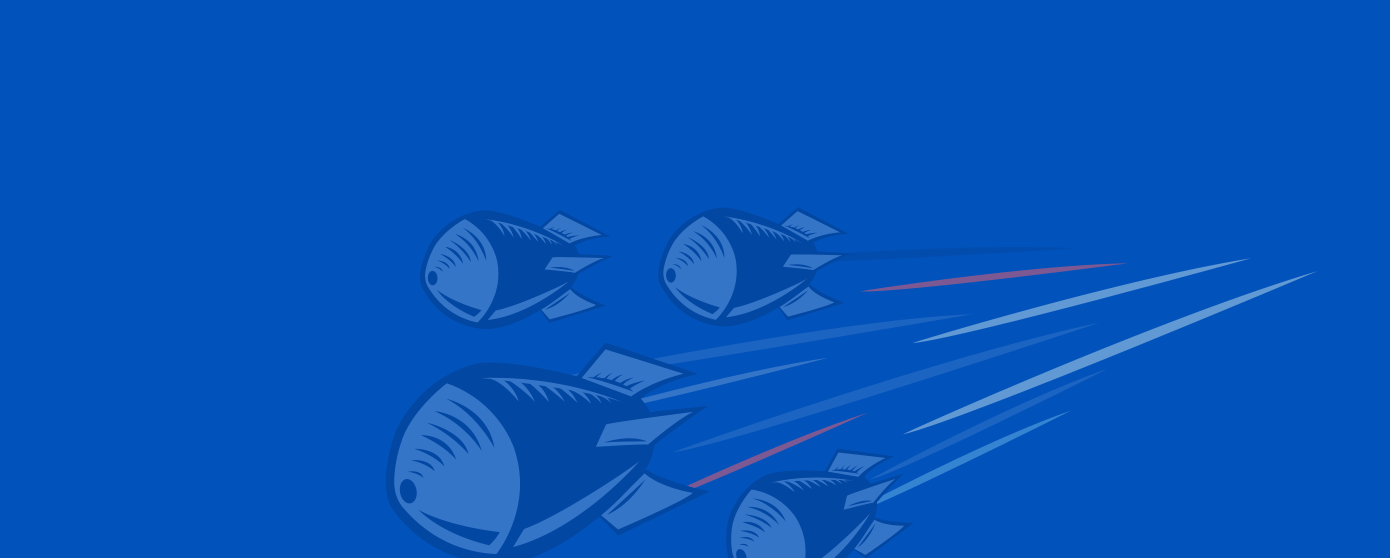 How To Identify And Block All Types Of DDoS Attacks Indusface Blog how-to-identify-and-block-all-types-of-ddos-attacks-indusface-blog