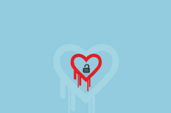 India not bitten by  Heartbleed