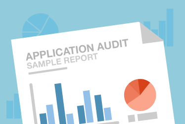 Application Audit Sample Report