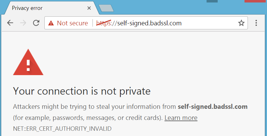 Error message of SSL Pinning