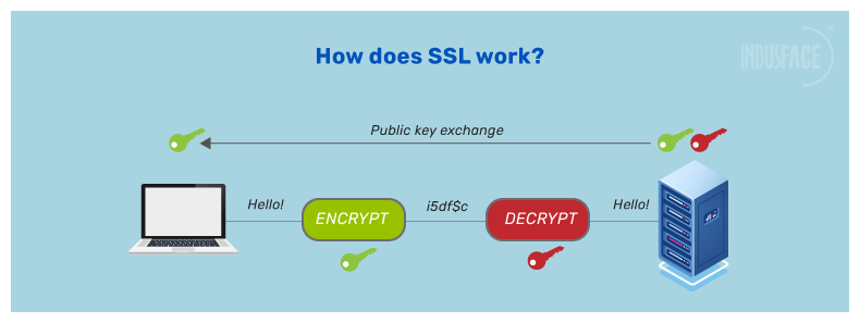 How does SSL works?