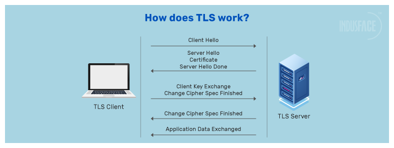 How does TLS works?