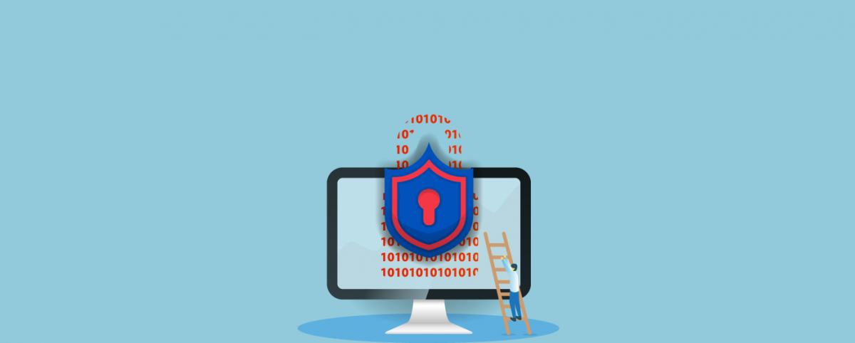 Web Application Security Assessment