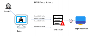 DNS-Flood-Attack