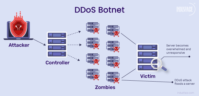 DDoS Botnet Attack