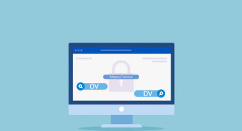 The Difference Between DV and OV SSL Certificates