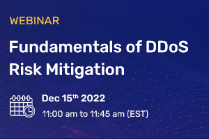 Fundamentals-Of-DDoS