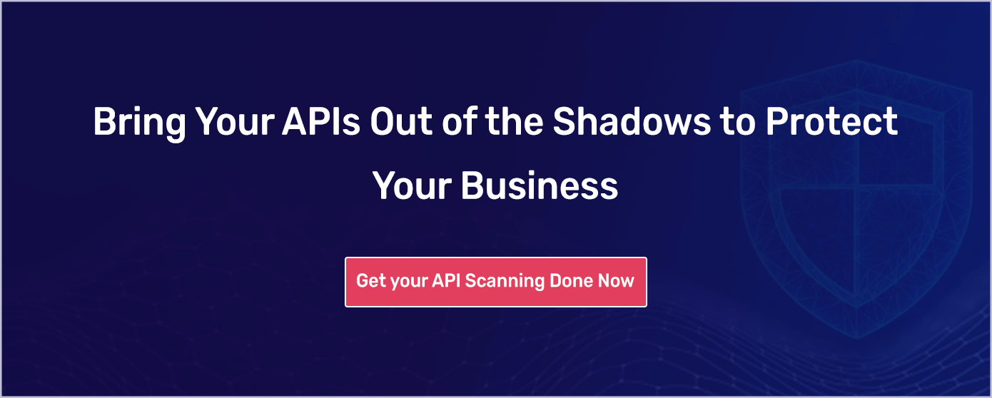 Bring Your APIs Out of the Shadows to Protect Your Business 