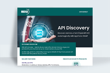 API Discovery Datasheet Indusface